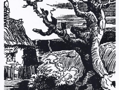 The Cat and the Secret of Land&nbsp;Value